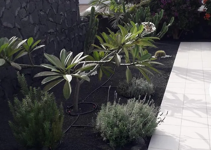 فيلة Vista Verano